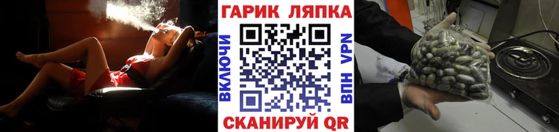 Гашиш AMNESIA HAZE  Пугачёв 