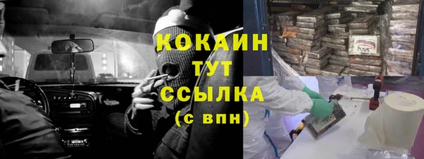 твердый Абаза