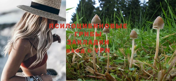 винт Абинск