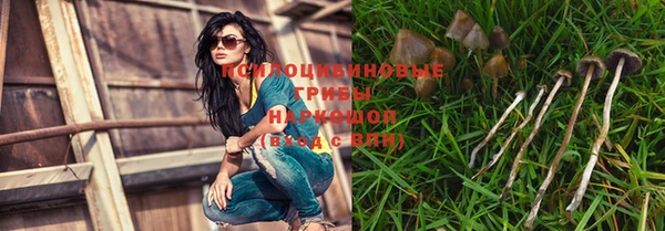 кокс Абдулино